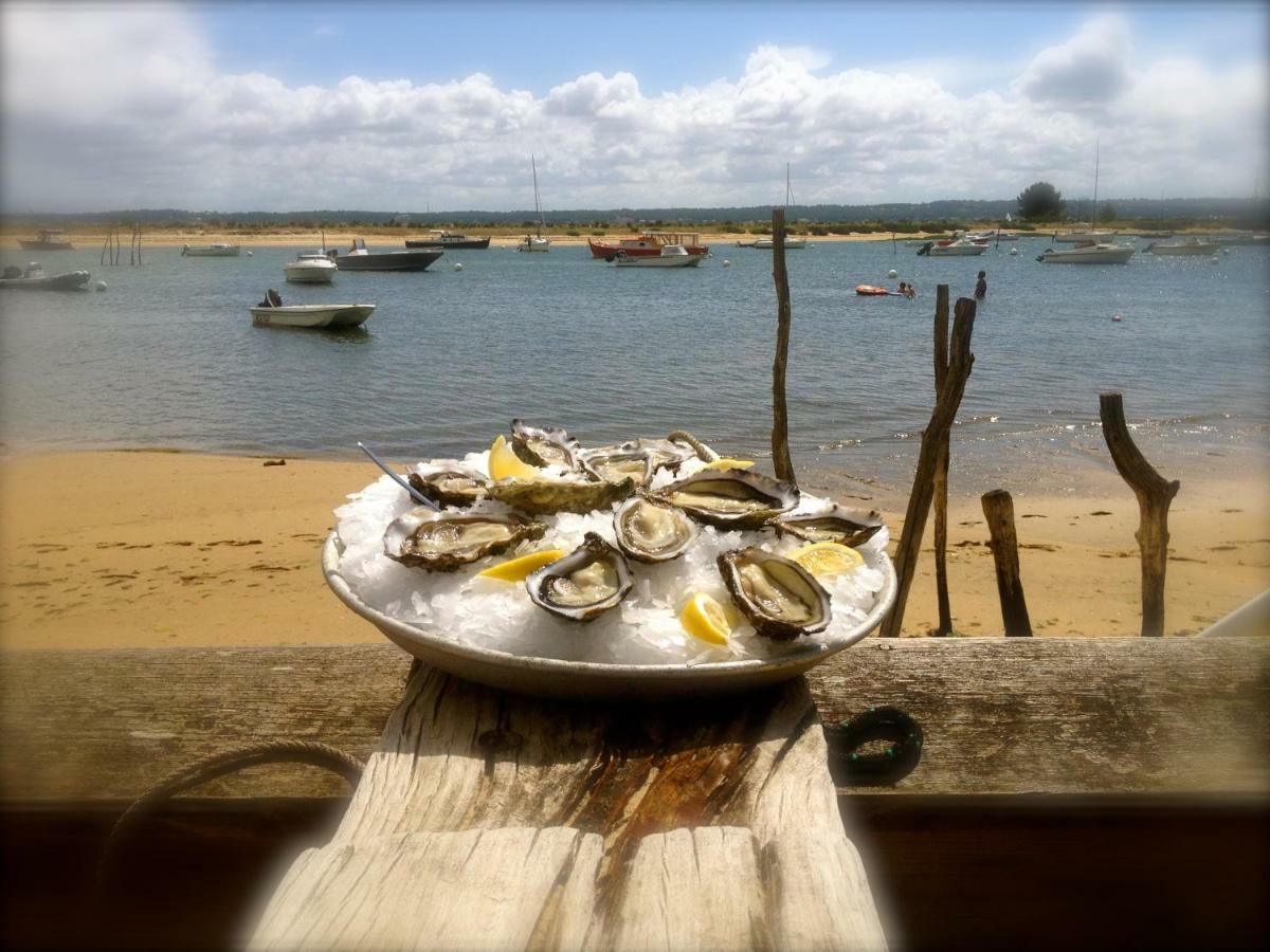 La Cabane De Didi Andernos-les-Bains Ngoại thất bức ảnh